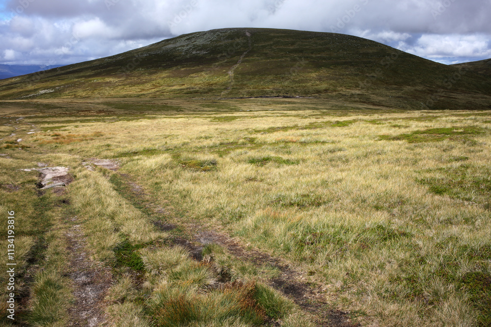 Trail and scenery between Carn a' choire Bhoidheach and Carn an t-sagairt mor munros - Loch Muick to Lochnagar path - Aberdeenshire - Scotland - UK Trail and scenery between Carn a' choire Bhoidheach and Carn an t-sagairt mor munros - Loch Muick to Lochnagar path - Aberdeenshire - Scotland - UK