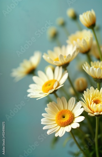 Close-up view of delicate white daisies in bouquet. Soft focus highlights flower petals, vibrant yellow centers. Natural light illuminates blossoms. Perfect for floral design, wedding, nature themed photo