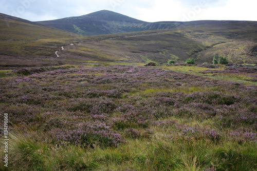 Hiking trail to Mount Keen from  Glen Tanar - Aberdeenshire - Scotland - UK photo