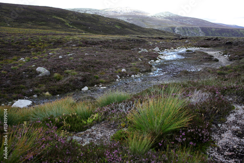 Fototapeta Trail between Broad Cairn summit, Loch Muick and Spittal of Glenmuick in the bac