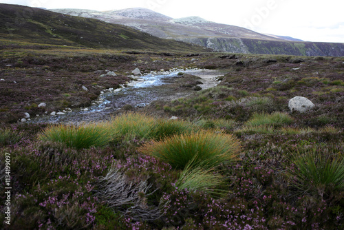 Fototapeta Trail between Broad Cairn summit, Loch Muick and Spittal of Glenmuick in the bac