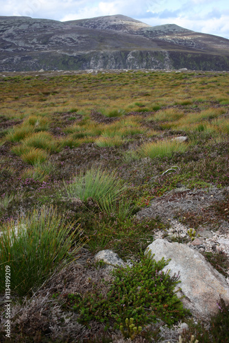 Fototapeta Trail between Broad Cairn summit, Loch Muick and Spittal of Glenmuick in the bac