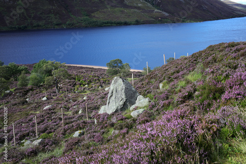 Trail between Broad Cairn summit, Loch Muick and Spittal of Glenmuick in the background - Aberdeenshire - Scotland - UK photo