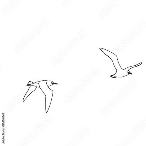 Albatross	 line art on white backgroun