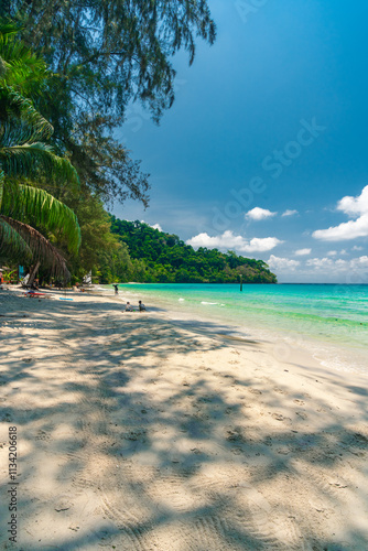 Beautiful tropical beach with scenery palm tree, crystal clear ocean on nature background