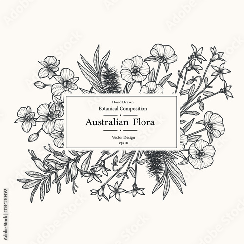 Hand drawn Australian native plants and flowers template. Cooktown orchid, eremophila, finger lime, Sturt's desert rose, royal bluebell, tea tree