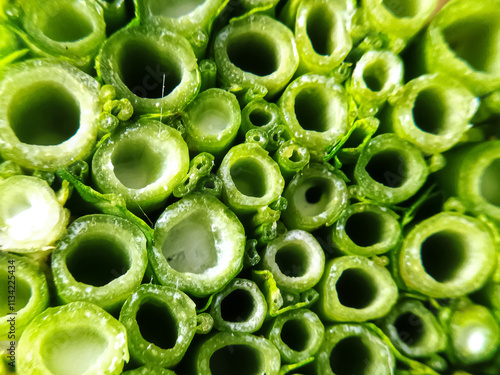 Pile of fresh chopped kale stems, close-up cross section photo