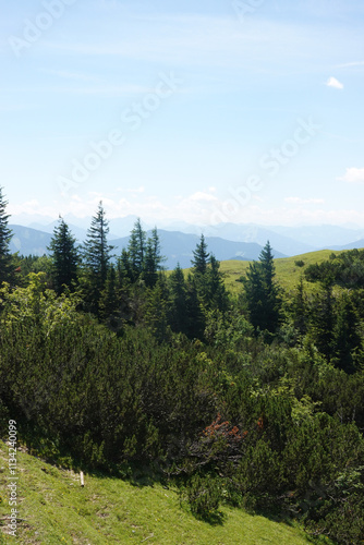 Wallpaper Mural The view from Gosaukamm mountain ridge, Austria Torontodigital.ca