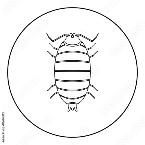 Roly poly woodlouse porcellio scaber woodruff icon in circle round black color vector illustration image outline contour line thin style