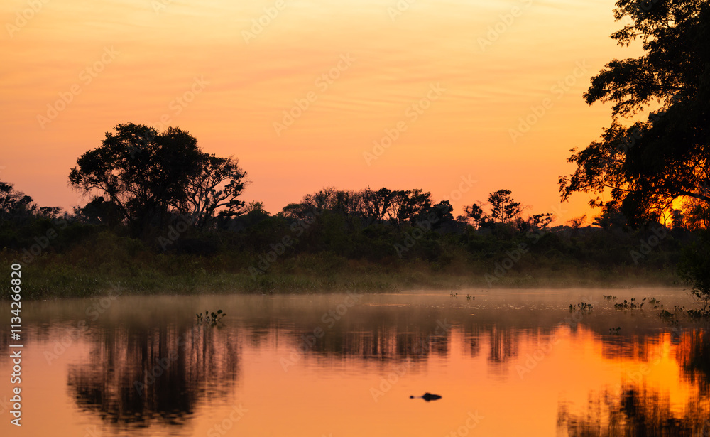 Colourful Sunrise over the Pantanal river in Brazil Colourful Sunrise over the Pantanal river in Brazil