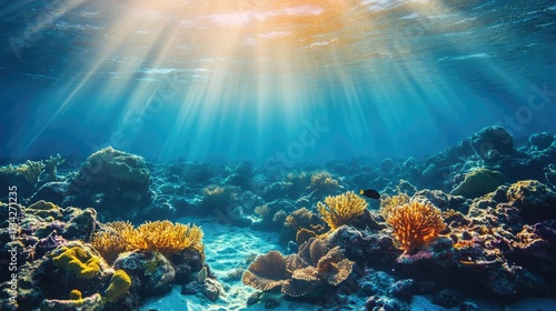 Underwater background deep blue sea and beautiful sun ray under sea. image