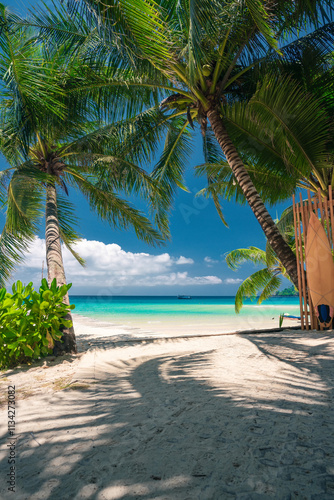 Fototapeta Naklejka Na Ścianę i Meble -  Beautiful tropical beach with scenery palm tree, crystal clear ocean on nature background