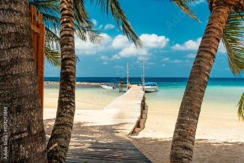 Fototapeta Naklejka Na Ścianę i Meble -  Beautiful tropical beach with scenery palm tree, crystal clear ocean on nature background