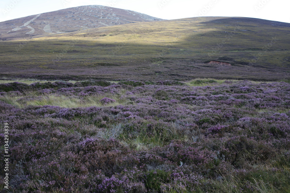 Hiking trail to Mount Keen from Glen Tanar - Aberdeenshire - Scotland - UK