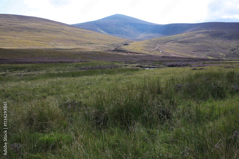 Fototapeta premium Hiking trail to Mount Keen from Glen Tanar - Aberdeenshire - Scotland - UK