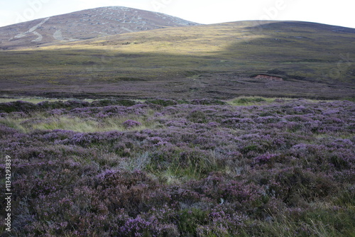 Obraz na płótnie Hiking trail to Mount Keen from Glen Tanar - Aberdeenshire - Scotland - UK w salonie