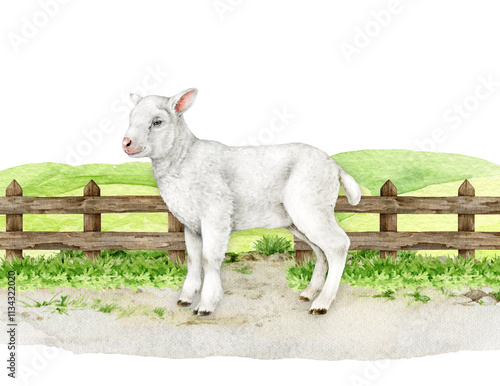 Cute lamb standing against wooden fence in a pasture. Hand drawn sheep vintage style realistic illustration. Perfect for farm themed designs, baby products and countryside inspired projects photo