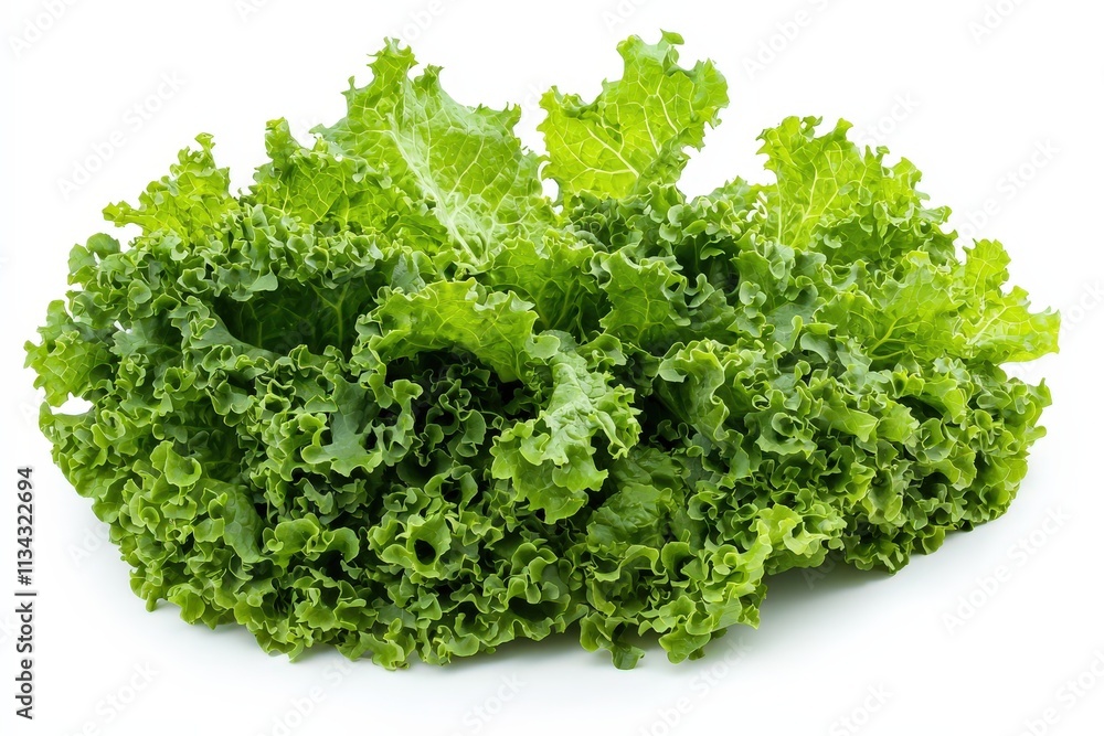 Fresh and vibrant lettuce highlighting its crisp leaves against a clean white background Fresh and vibrant lettuce highlighting its crisp leaves against a clean white background