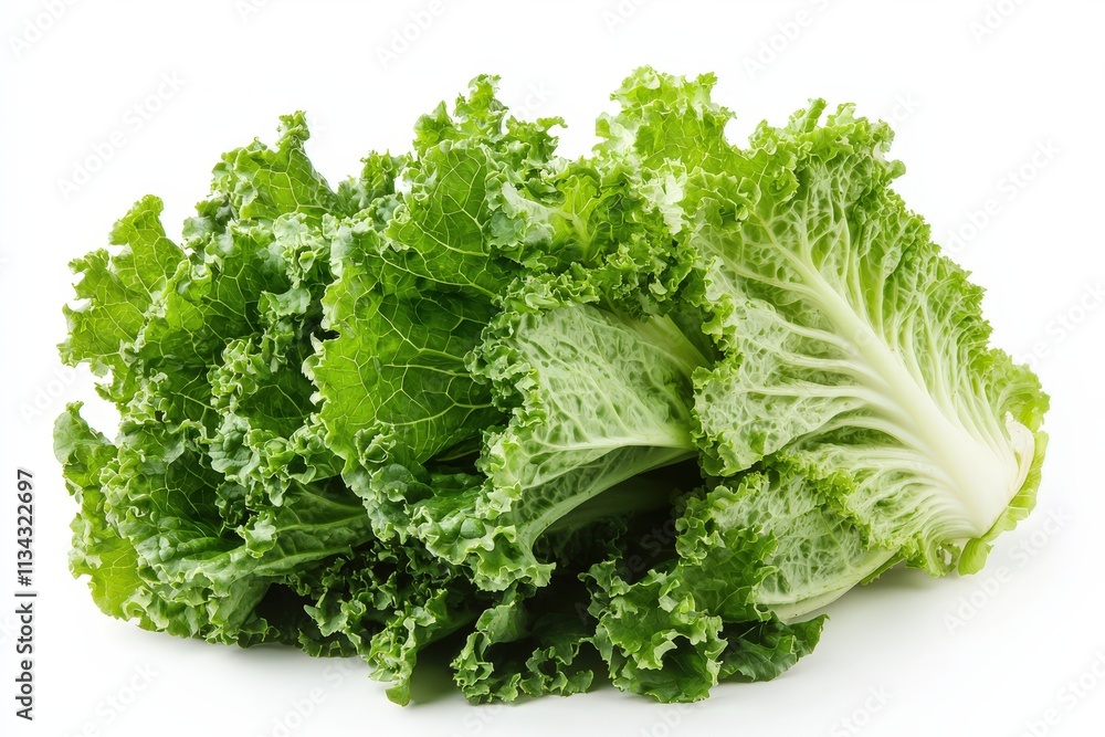 Fresh and vibrant lettuce showcasing its crisp texture against a white background Fresh and vibrant lettuce showcasing its crisp texture against a white background