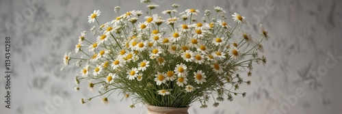 A hand-tied bouquet of dried chamomile and baby's breath, delicate petals, baby's breath, soft focus