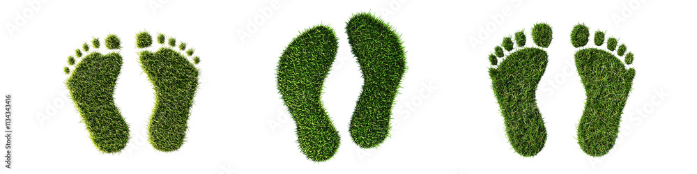 Set of a 3D rendering of two footprints made from grass, isolated on a transparent background.