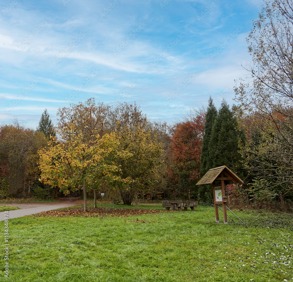 Fototapeta premium Bondorf wald, Landkreis Böblingen in Baden-Württemberg. Bernloch Parkplatz und Arboretum