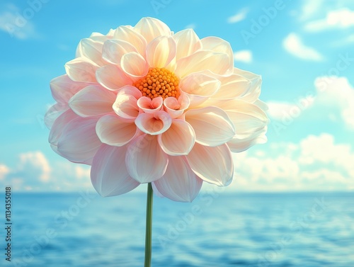 Soft fluffy petaled flower against serene ocean background nature photography outdoor close-up tranquility concept photo