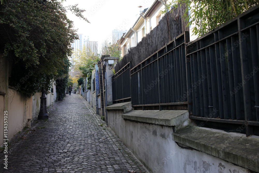 Villa du progres - Belleville - Pedestrian cobblestone alleway in residential area - Belleville - 19th arrondissement - Paris - France Villa du progres - Belleville - Pedestrian cobblestone alleway in residential area - Belleville - 19th arrondissement - Paris - France