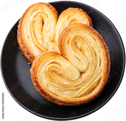 palmier also as elephant ears a traditional white background