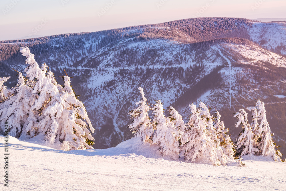 Eastern Sudetes winter landscape, view of the mountain range from a mountain hiking trail during a winter hike, snow-covered trees on the slope of Snieznik Mountain.