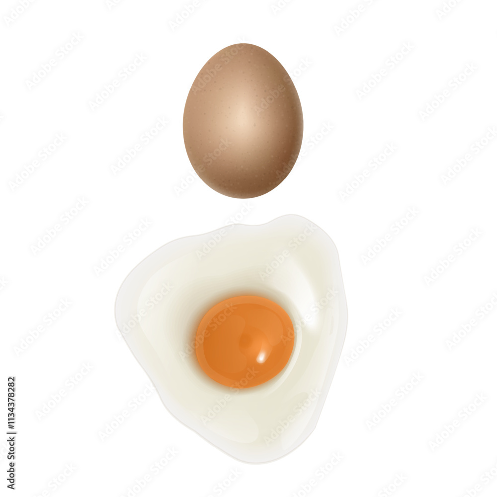 Set of realistic eggs on white background