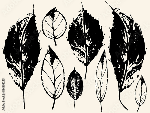 Close-up skeleton dry leaf vein, Pattern with autumn leaves. rotting dry leaves, Realistic autumn foliage. grunge vector Autumn leaf, Fall age leaves, black isolated leaf