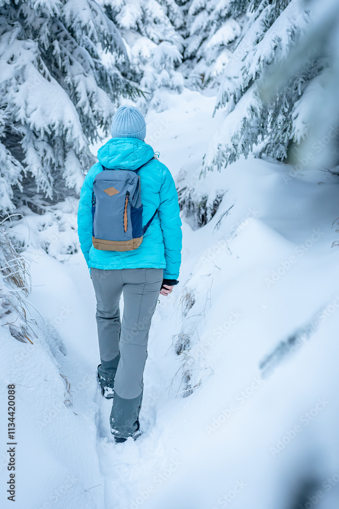 Eastern Sudetes, Young woman hikes on a mountain snow-covered trail, walks on white snow through the forest and looks at the snow-covered trees, winter landscape in the mountains.