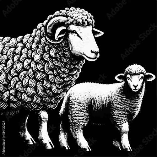 illustration of sheep