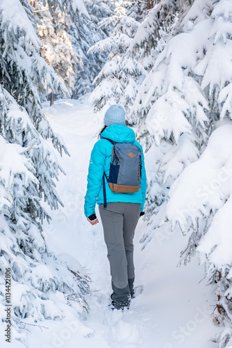 Obraz na płótnie Eastern Sudetes, Young woman hikes on a mountain snow-covered trail, walks on white snow through the forest and looks at the snow-covered trees, winter landscape in the mountains. w salonie