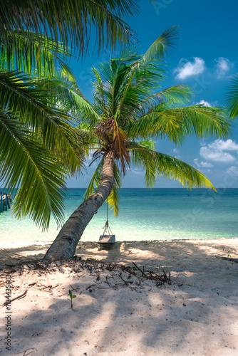 Beautiful tropical beach with scenery palm tree, crystal clear ocean on nature background