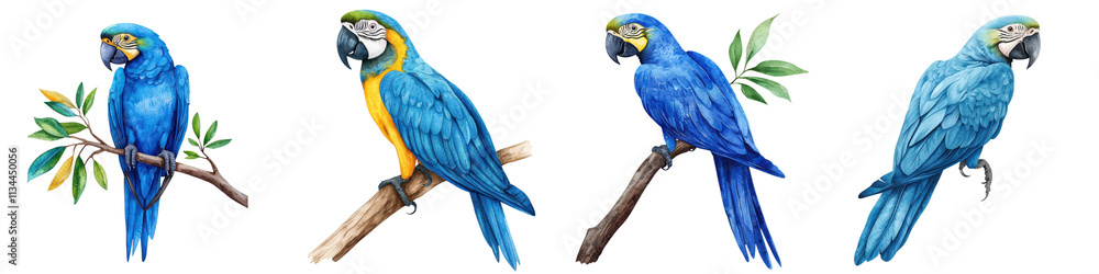 Obraz premium Colorful and Vibrant of Blue Macaw Parrots Perched on Tropical Branches and Leaves Detailed Watercolor Style Digital Artwork Showcasing the Beauty of These Exotic Birds in their Natural Habitat