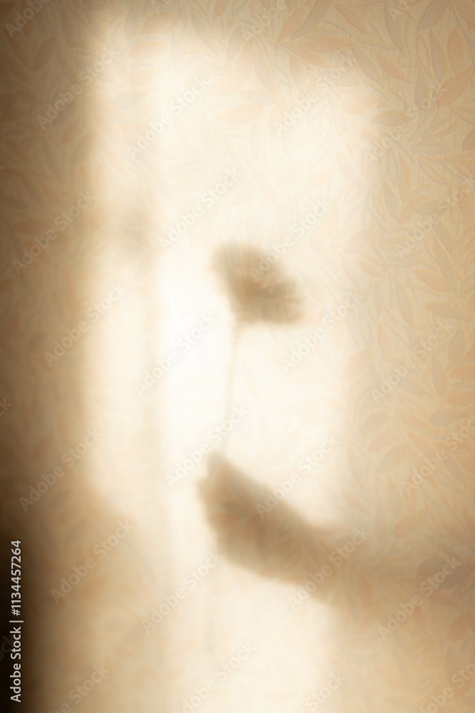 Fototapeta premium flower silhouette