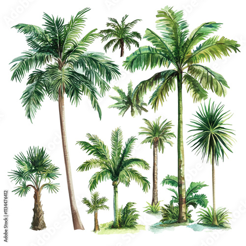 Lush Tropical Paradise: Watercolor Palm Trees