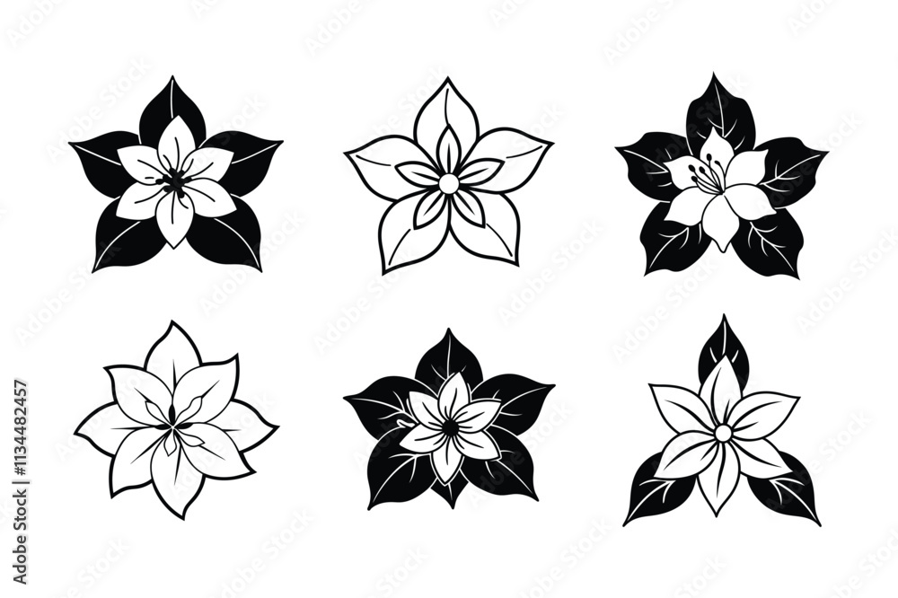 Obraz premium Jasminum sambac design, labeled silhouette, line art vector illustration. 