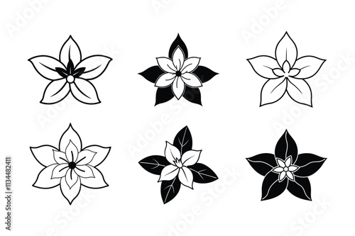 Jasminum sambac design, labeled silhouette, line art vector illustration. 