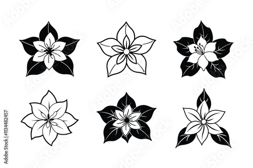 Jasminum sambac design, labeled silhouette, line art vector illustration. 