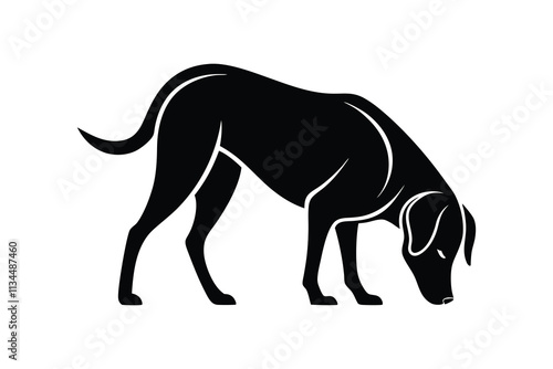 silhouette of a Labrador Retriever sniffing the ground attentively.