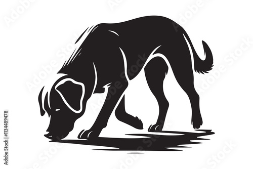 silhouette of a Labrador Retriever sniffing the ground attentively.