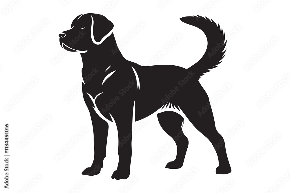 Fototapeta premium Minimalistic Labrador Retriever Silhouette Standing Alert with Wagging Tail