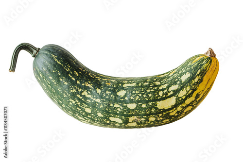 a green and yellow squash photo