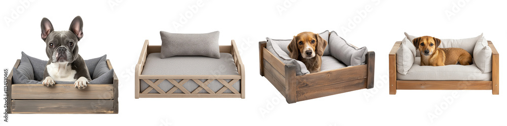 Adorable dogs and puppies of various breeds and sizes relaxing napping and playing in comfortable home interiors and furniture like sofas couches and beds Lifestyle design Adorable dogs and puppies of various breeds and sizes relaxing napping and playing in comfortable home interiors and furniture like sofas couches and beds Lifestyle design