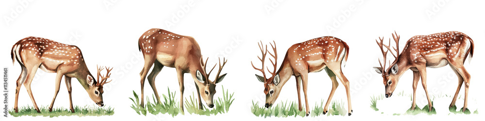 Naklejka premium A herd of graceful spotted deer peacefully grazing in a lush tranquil forest meadow amidst a serene natural landscape The image conveys a sense of harmony conservation