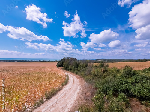 Corn field near the Lake Balaton