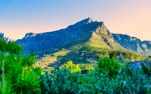 Obraz na płótnie View of Table Mountain framed in lush vegetation from Signal Hill, Cape Town, South Africa w salonie